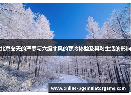 北京冬天的严寒与六级北风的寒冷体验及其对生活的影响 北京冬天的严寒与六级北风的寒冷体验及其对生活的影响